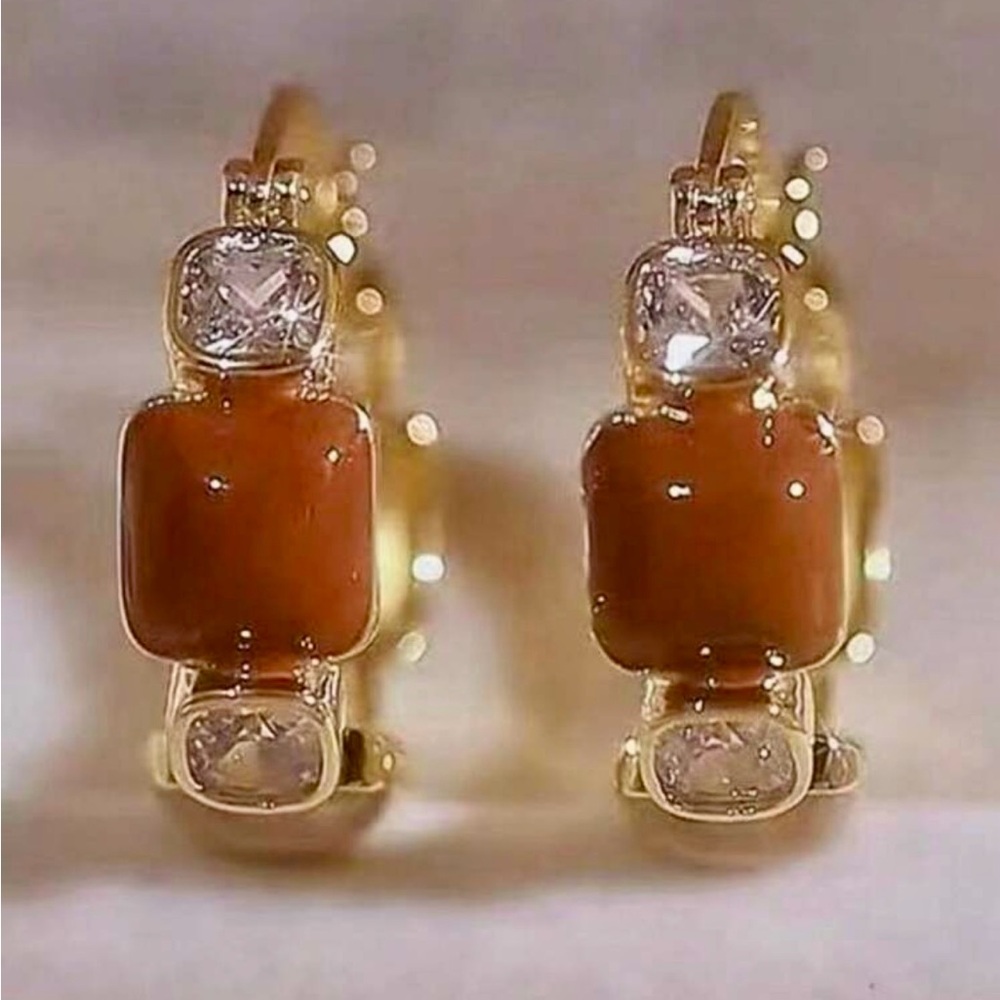 Elegant Gold and Brown Hoop Earrings - Picture 4 of 4